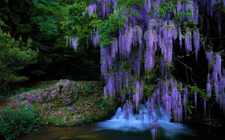 A serene HD wallpaper featuring cascading purple wisteria blossoms near a small waterfall and stream, surrounded by lush greenery and trees.