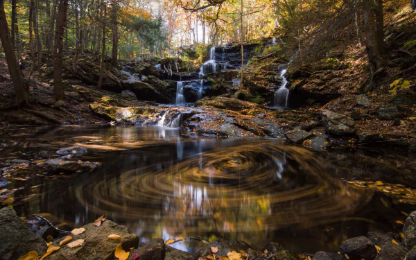 A serene HD desktop wallpaper of a fall forest with a cascading waterfall flowing into a stream, surrounded by autumnal foliage.