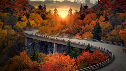 HD desktop wallpaper featuring a winding viaduct road through a vibrant fall forest, bathed in the golden light of sunset.