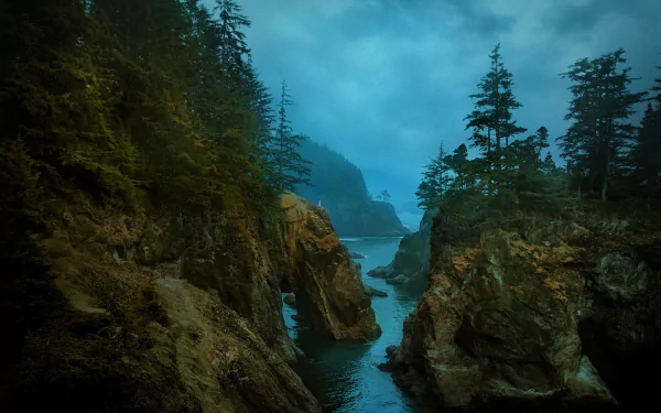 HD desktop wallpaper capturing Oregon’s rugged coastline with towering cliffs, dense trees, and a moody blue sky over the tranquil coastal waters.