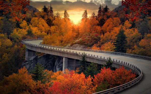 HD desktop wallpaper featuring a winding viaduct road through a vibrant fall forest, bathed in the golden light of sunset.