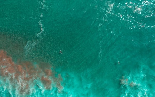 Earth Ocean Surfer HD Wallpaper | Background Image