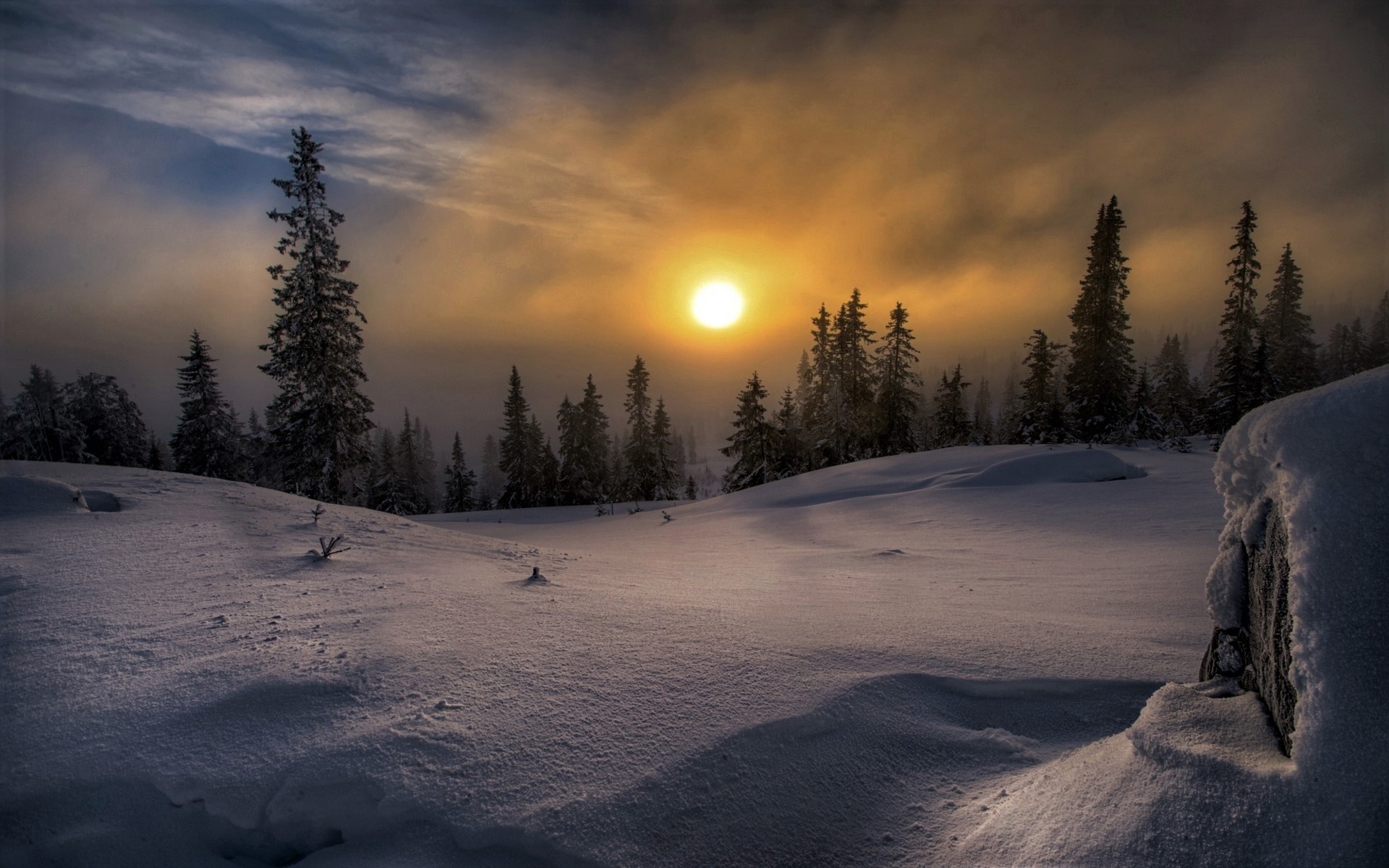 Winter Sunset