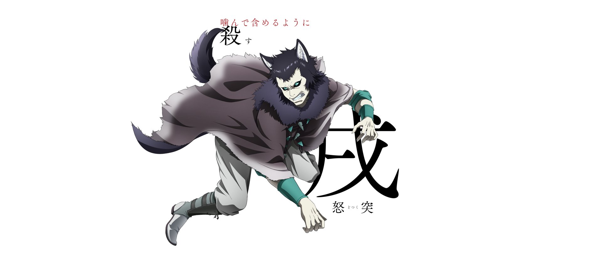 HD anime desktop wallpaper featuring Michio Tsukui from Juuni Taisen in a dynamic pose with a wolf-like cloak and intense expression.