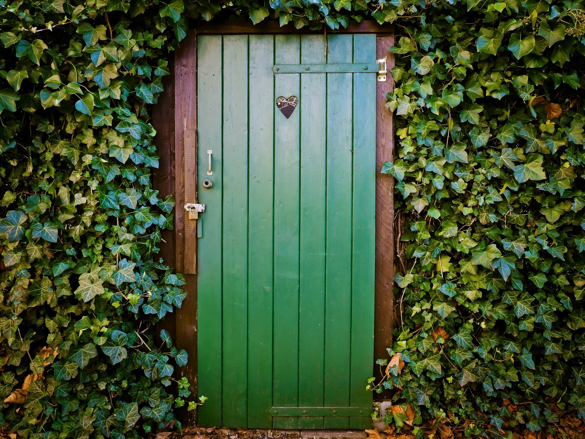 A green wooden door framed by dense ivy with a small heart-shaped decoration on the door, captured in 4K Ultra HD for a PC desktop wallpaper.