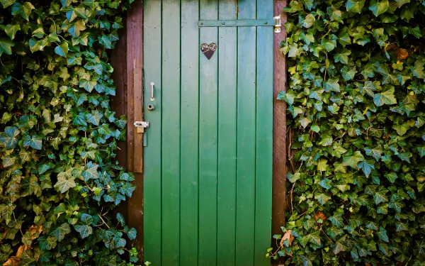 A green wooden door framed by dense ivy with a small heart-shaped decoration on the door, captured in 4K Ultra HD for a PC desktop wallpaper.