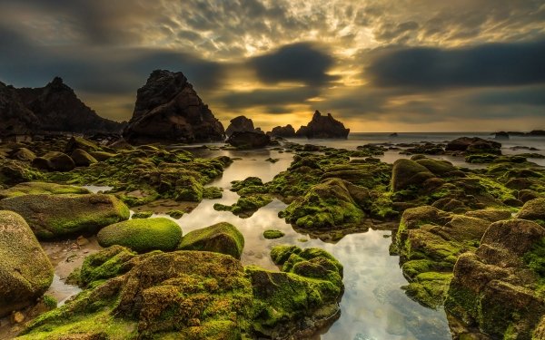 Earth Seascape Sunset Rock Horizon Moss Portugal HD Wallpaper | Background Image