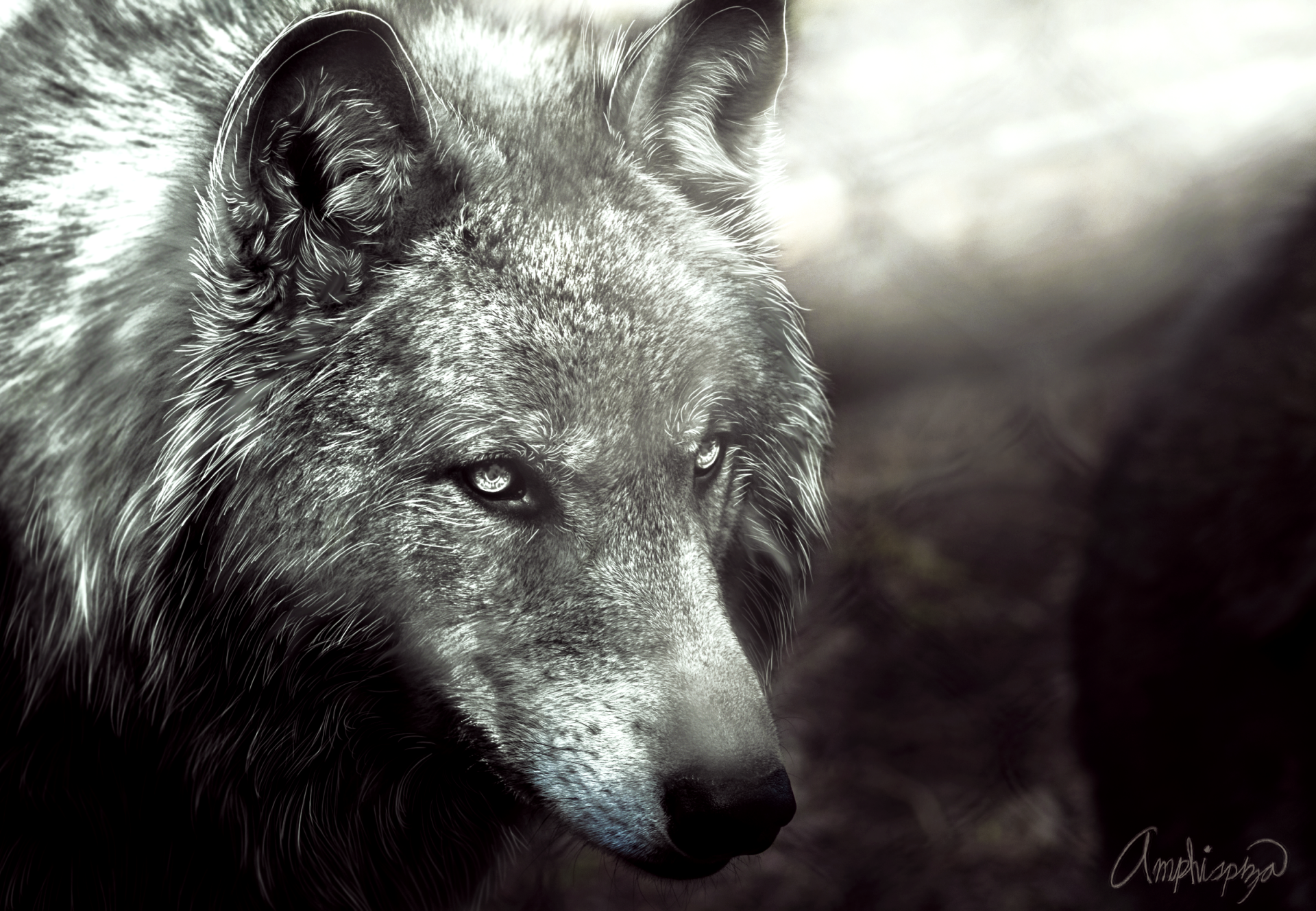 HD fantasy PC desktop wallpaper featuring a detailed close-up of a wolf with intense eyes set against a dark, misty background.
