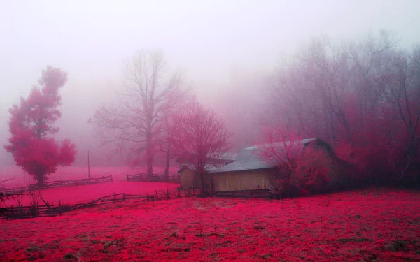 A red-hued farm field with a barn and trees shrouded in dense fog, creating an atmospheric fall scene in this HD desktop wallpaper.