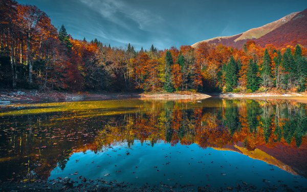 Earth Reflection Nature Lake Fall Montenegro Forest HD Wallpaper | Background Image