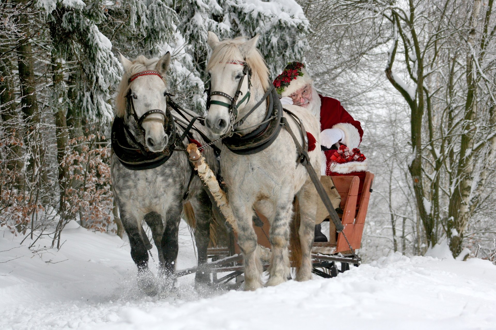 HD desktop wallpaper showing Santa Claus riding in a horse-drawn sleigh through a snowy winter landscape, evoking holiday and Christmas spirit.