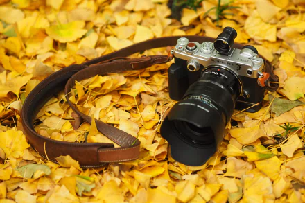  Olympus Pen-F