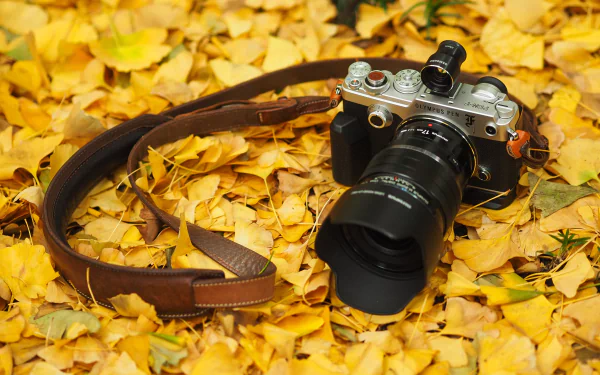 Olympus camera rests on a bed of vibrant fall leaves, captured in stunning 4K Ultra HD detail for a crisp PC desktop background.