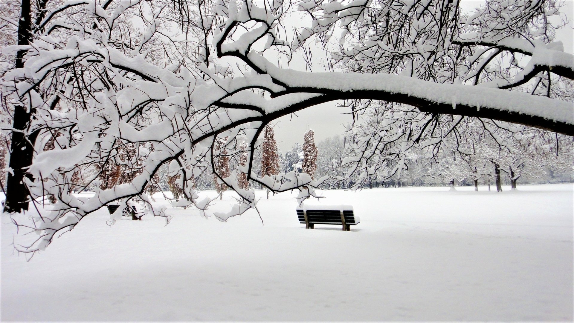 Download Bench Park Snow Earth Photography Winter  HD Wallpaper