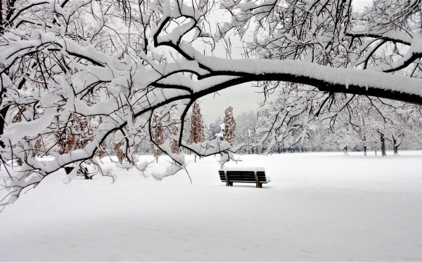 Photography Winter Earth Snow Park Bench HD Wallpaper | Background Image