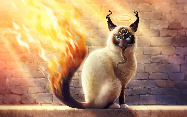 A fantasy-themed HD desktop wallpaper featuring a cat with a flaming tail, blue eyes, and a glowing halo against a brick wall backdrop.