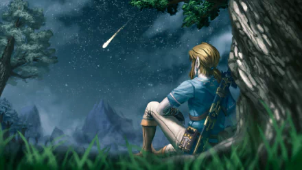 An HD desktop wallpaper featuring Link from The Legend of Zelda: Breath of the Wild, sitting under a tree and gazing at a starry night sky with a shooting star.