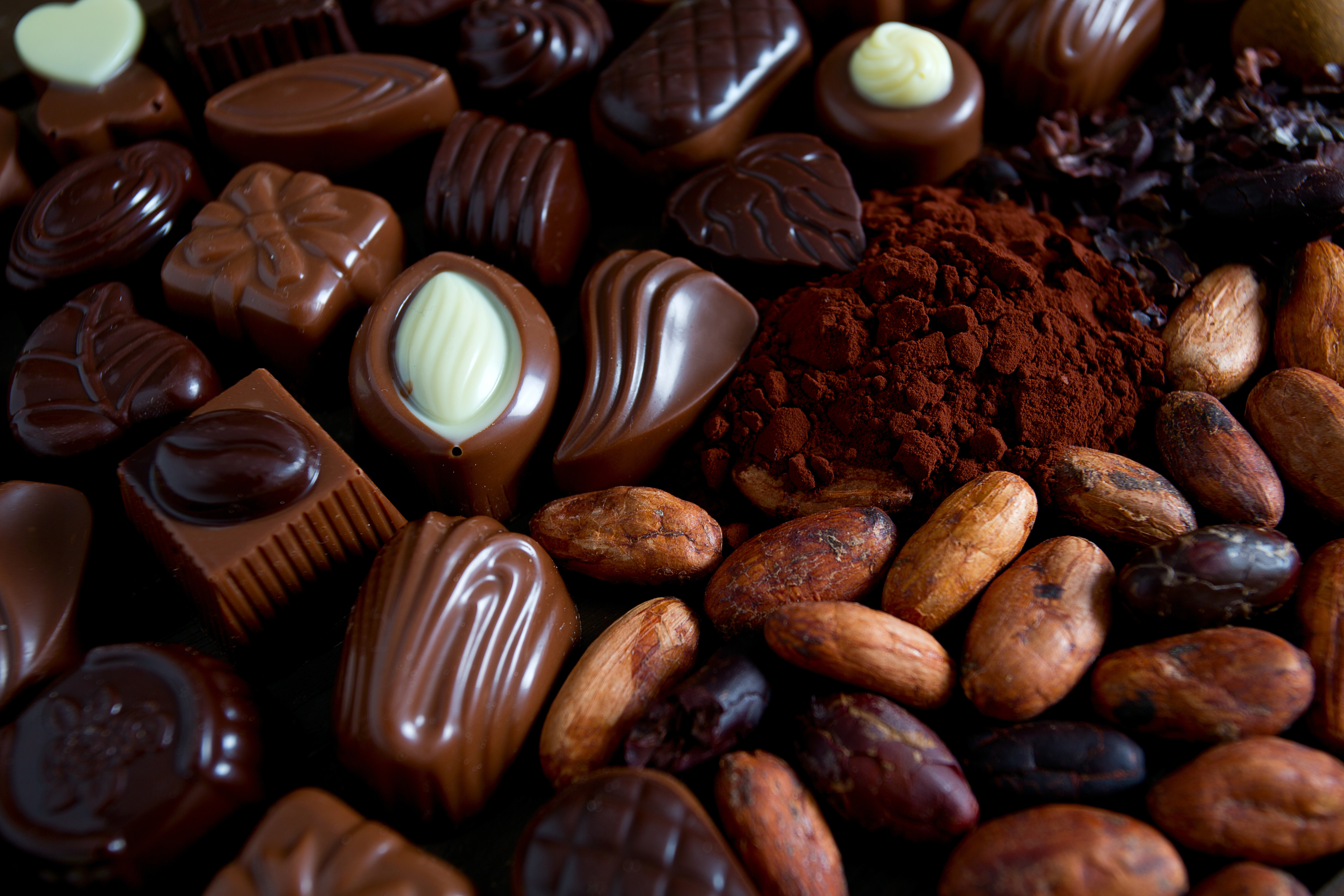 Шоколад еда. Шоколадные конфеты. Красивые конфеты. Красивые шоколадные конфеты. Сладости шоколад.