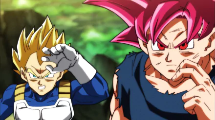 HD PC desktop wallpaper featuring Vegeta and Goku from Dragon Ball Super in their iconic anime styles, showcasing intense expressions and vibrant colors.