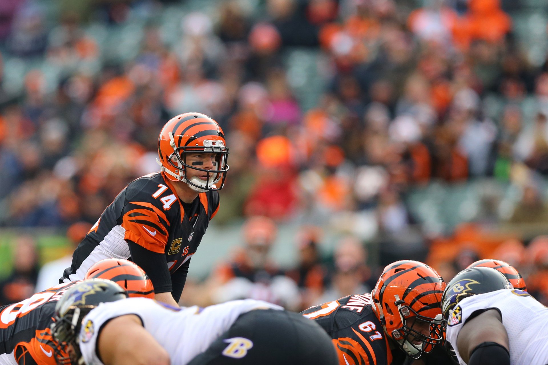 Download Cincinnati Bengals Sports HD Wallpaper