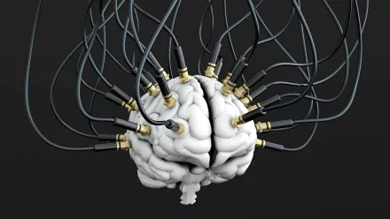 artistic brain HD Desktop Wallpaper | Background Image