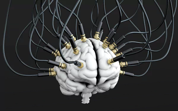artistic brain HD Desktop Wallpaper | Background Image