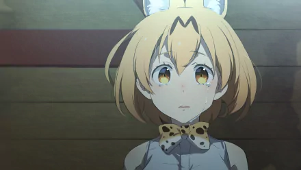 Serval (Kemono Friends) Anime Kemono Friends HD Desktop Wallpaper | Background Image