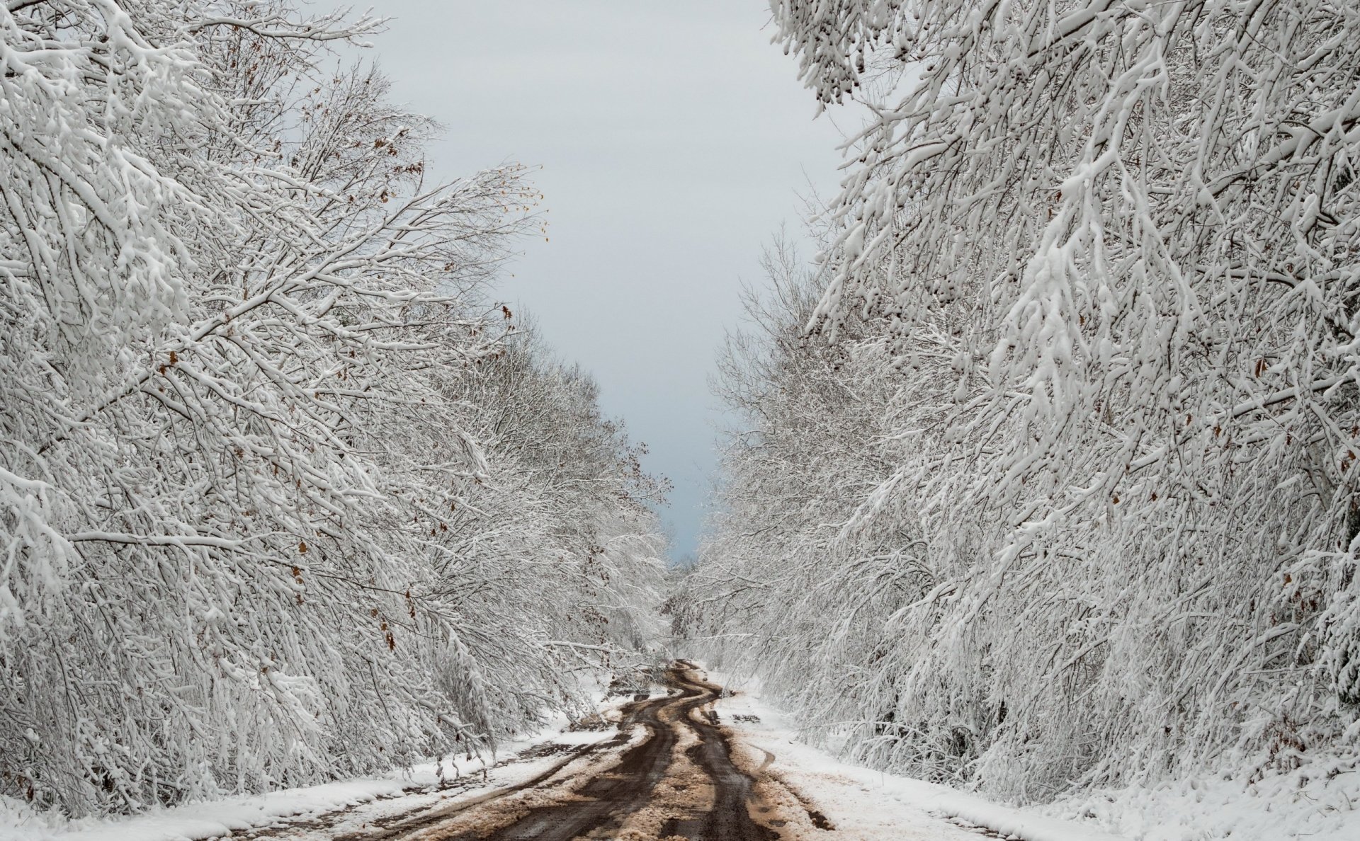 Download Snow Winter Nature Man Made Road HD Wallpaper | 2560x1584 ...