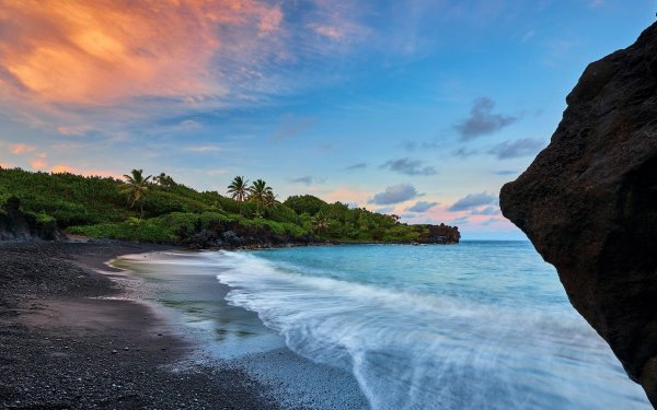 Earth Beach Hawaii Ocean Sea Palm Tree Sunset HD Wallpaper | Background Image