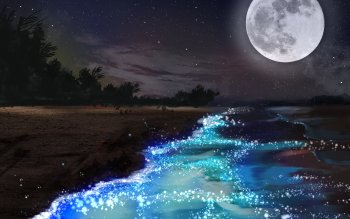 night moon sea wallpaper