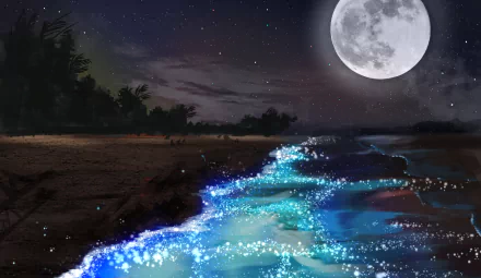 HD desktop wallpaper and background depicting an anime beach scene at night, with a glowing sea under a full moon in a starry sky.