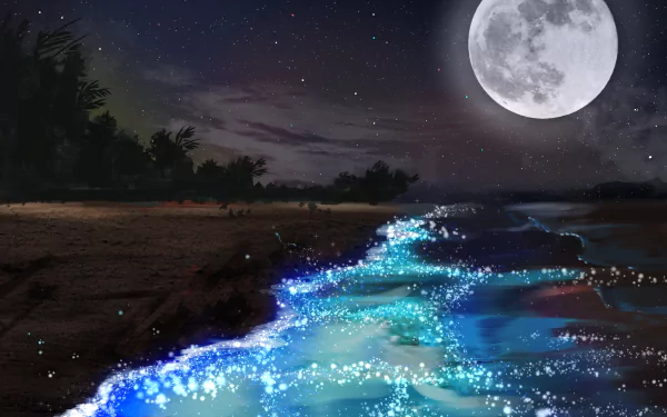 HD desktop wallpaper and background depicting an anime beach scene at night, with a glowing sea under a full moon in a starry sky.