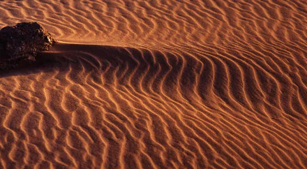  Golden sand dones - Algeria