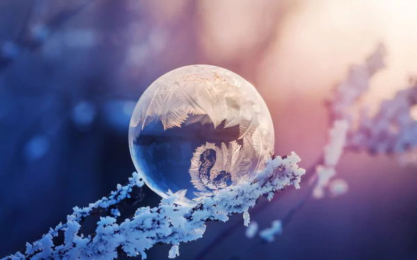 A high-definition wallpaper featuring a macro shot of a frozen bubble on a frosty branch, set against a peaceful winter background with soft, muted colors.