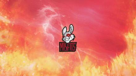 Misfits Gaming video game esports HD Desktop Wallpaper | Background Image