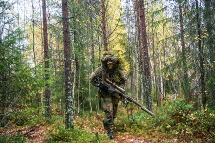 sniper rifle camouflage forest military sniper HD Desktop Wallpaper | Background Image