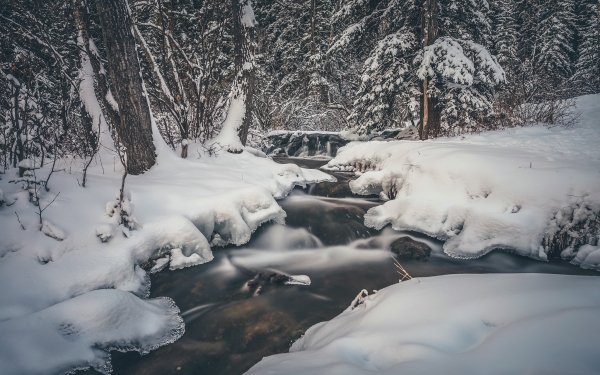 Earth Stream Nature Winter Snow HD Wallpaper | Background Image