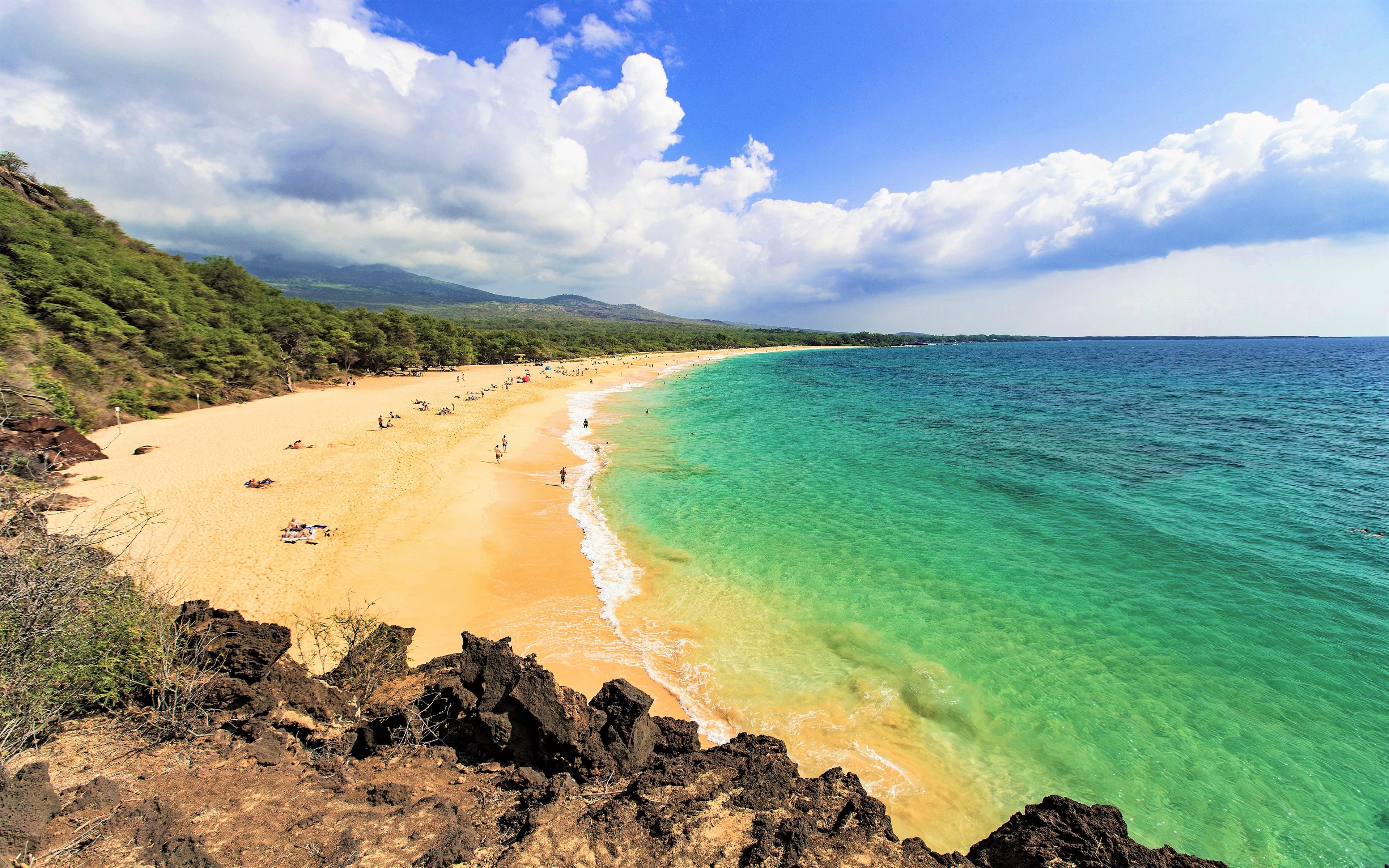 Maui Hawaii usa clouds sky trees coast palms sea HD wallpaper   Peakpx