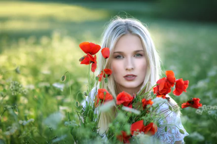Blonde woman with green eyes surrounded by vibrant red poppy flowers in a sunlit summer field, captured in sharp focus with a soft depth of field background.