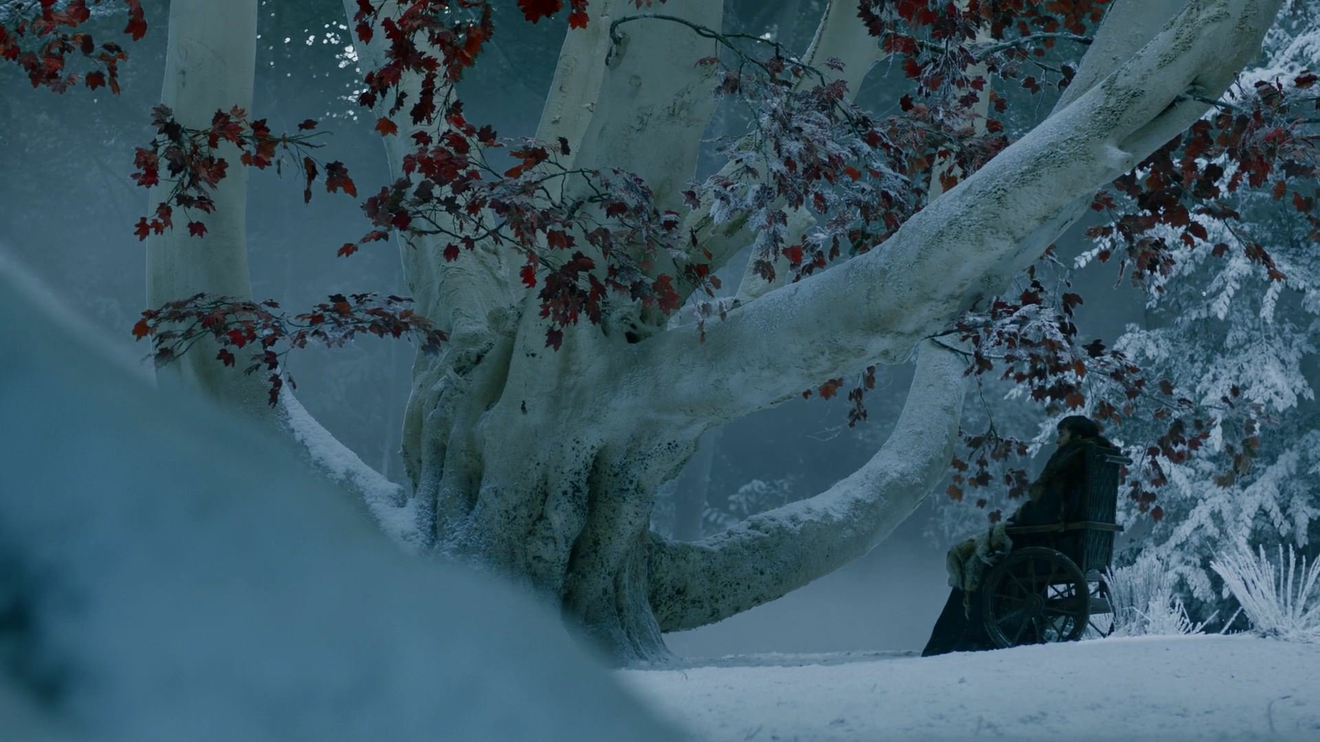 Download Isaac Hempstead-Wright Bran Stark TV Show Game Of Thrones HD Wallpaper