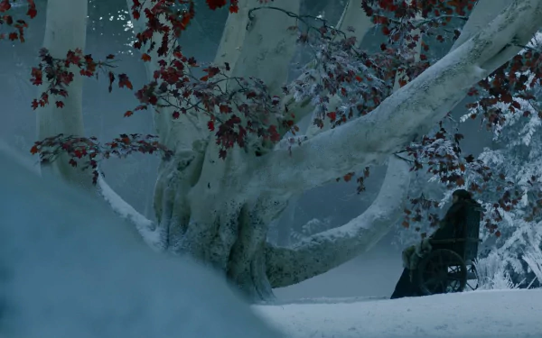 Isaac Hempstead-Wright Bran Stark TV Show Game Of Thrones HD Desktop Wallpaper | Background Image