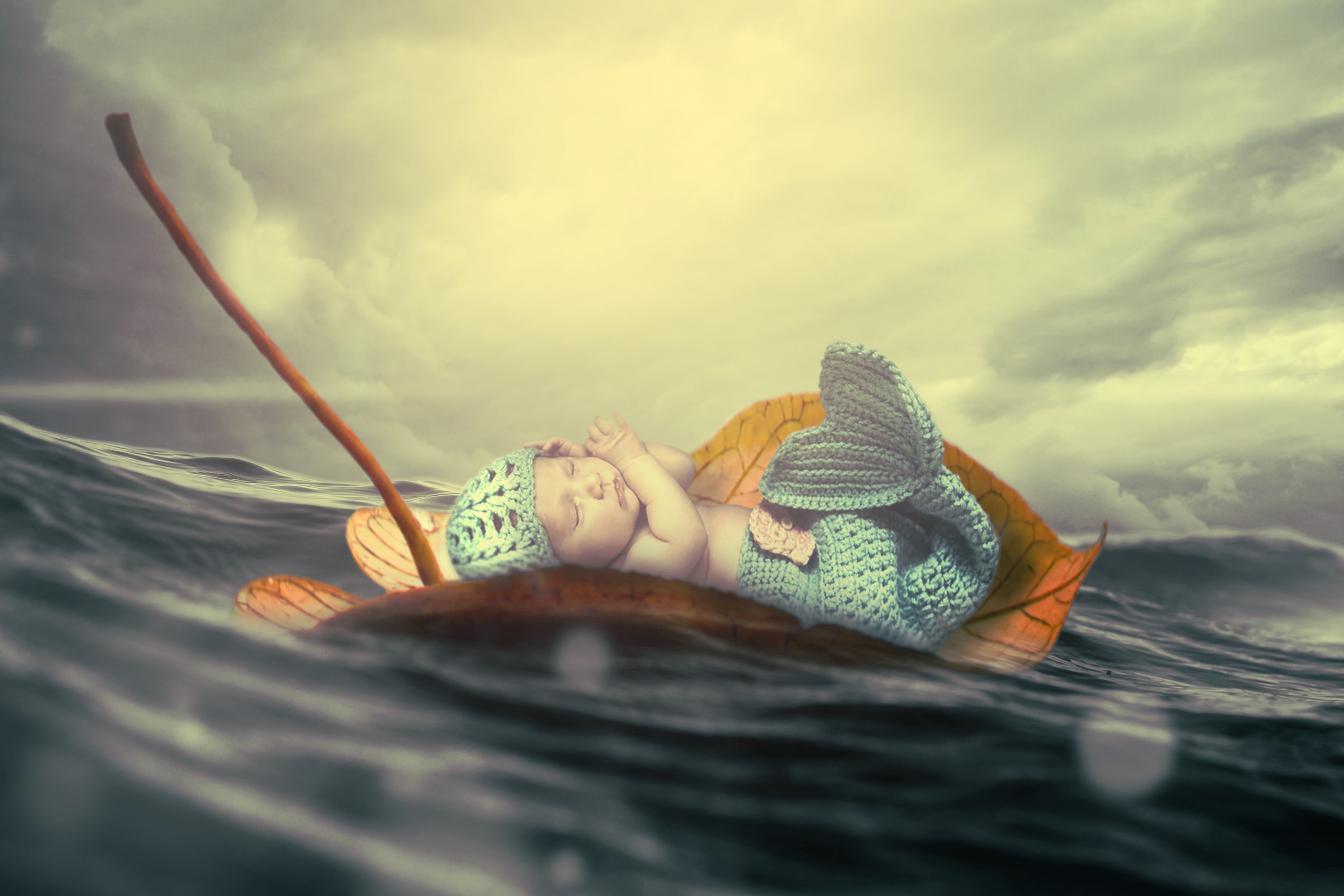 Baby Mermaid on a Leaf in the Ocean by Jonny Lindner