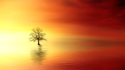  Orange and Yellow Sunset by Johannes Plenio