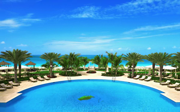 4K Ultra HD wallpaper of a tropical resort with a large turquoise pool, palm trees, and a calm ocean horizon under a bright blue sky.