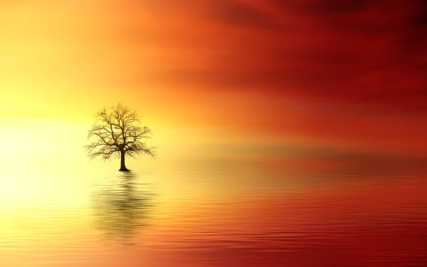  Orange and Yellow Sunset by Johannes Plenio