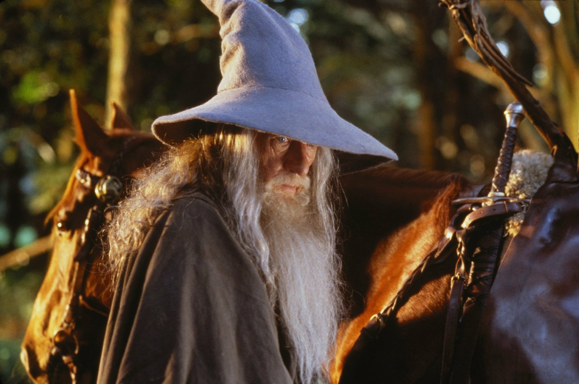 Download Ian McKellen Gandalf Movie The Lord Of The Rings: The Fellowship Of The Ring HD Wallpaper