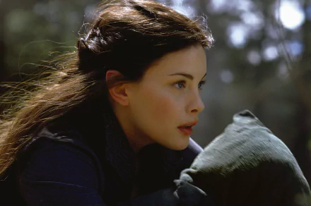 HD desktop wallpaper featuring Liv Tyler as Arwen Evenstar from the movie The Lord of the Rings: The Fellowship of the Ring, captured in a thoughtful side profile.