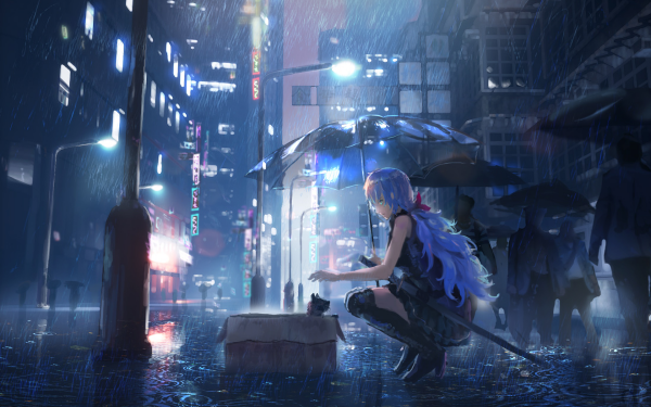 Anime Original Umbrella Rain Night HD Wallpaper | Background Image