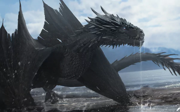 HD fantasy wallpaper featuring a majestic black dragon near a shoreline, with water dripping from its mouth and dramatic, cloudy skies in the background.