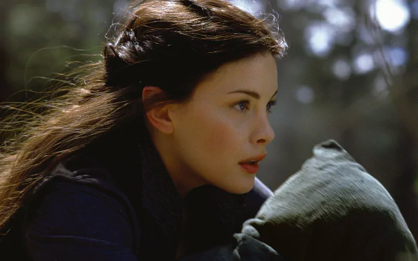 Liv Tyler Arwen Evenstar movie The Lord of the Rings: The Fellowship of the Ring HD Desktop Wallpaper | Background Image